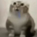 Profil Resmi