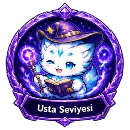 Usta Seviyesi